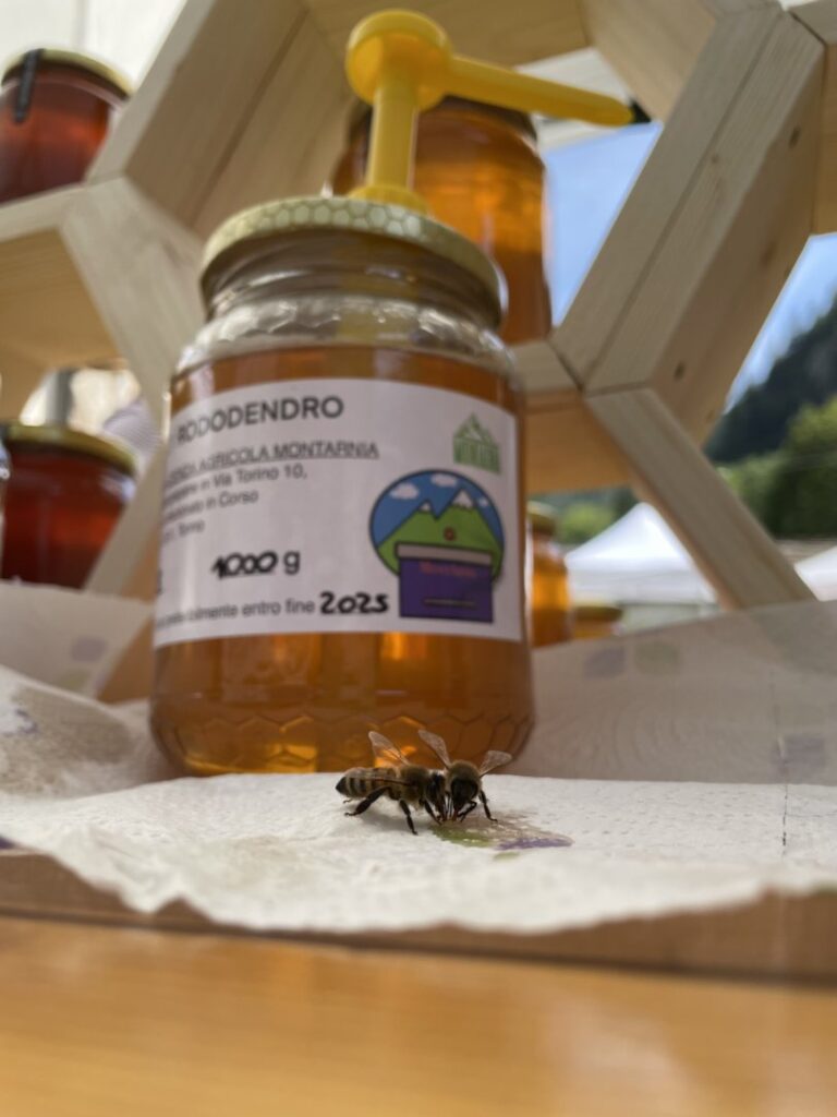 Miele di Rododendro Api